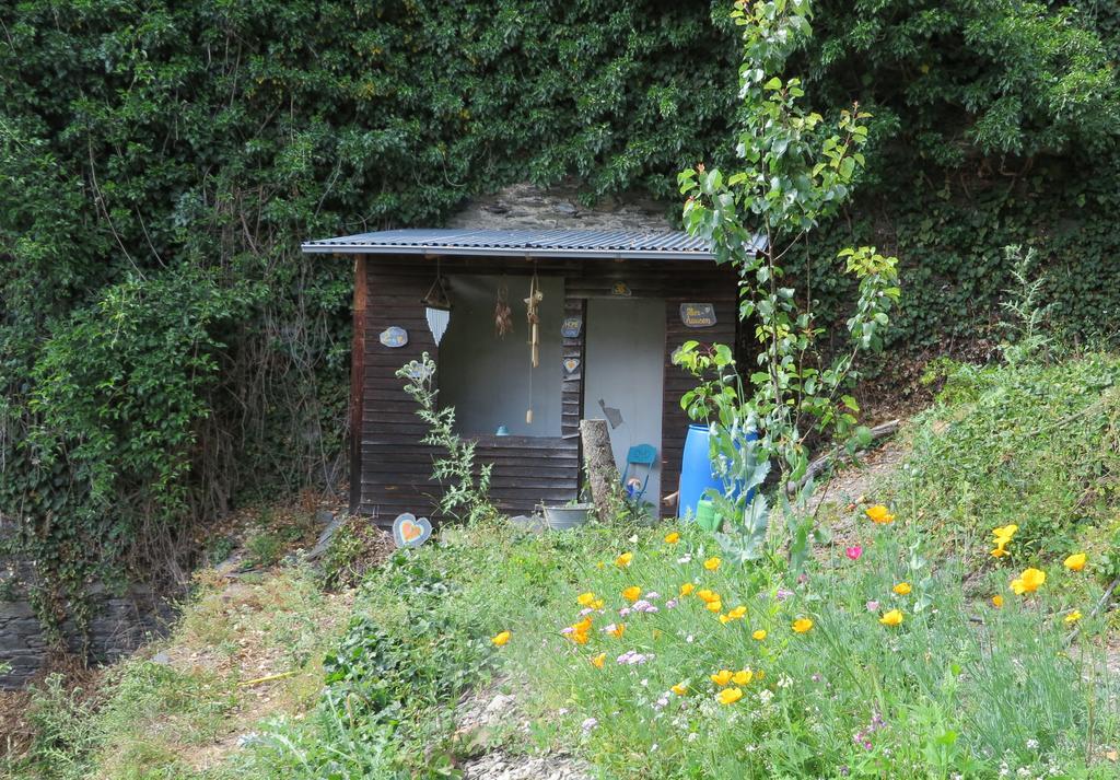 Ferienhaus Mauseloch Kaub Buitenkant foto